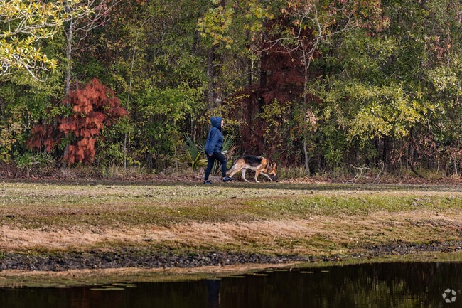 Palomino Drive Park provides a quiet setting for strolls with pets in near Watson.