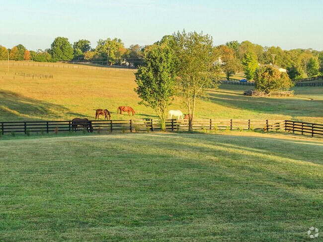 Bryan Station is home to many horse farms in the area