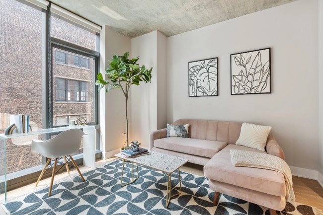 1127 W Tilden St, Chicago, IL 60607 - photo 3