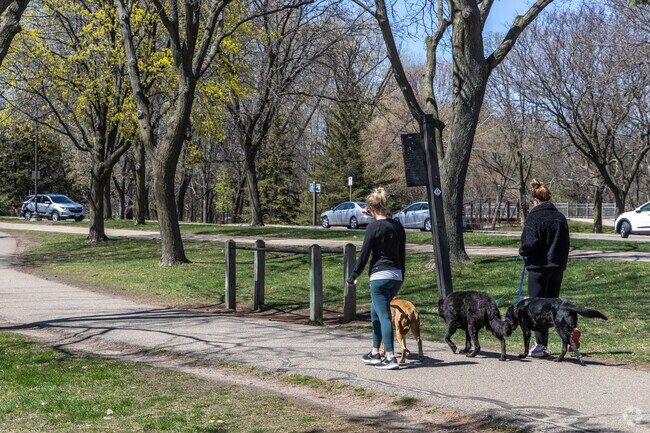 Dog walkers can enjoy the lakeside paths around Lake Nokomis.