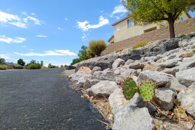 Be on the lookout for all the plants you can find along the walking path of Quail Ranch.