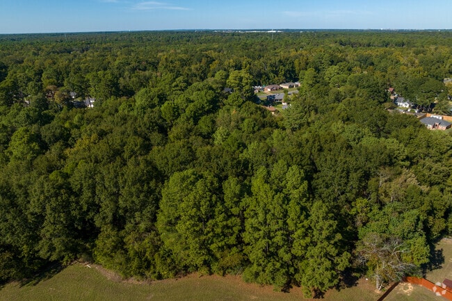 The neighborhood is blessed with a canopy of trees.