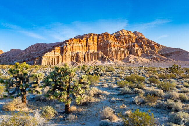 A few Joshua trees thrive at Red Rock Canyon near China Lake Acres.