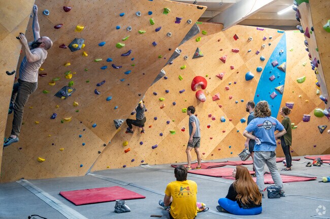 Go on a rock climbing adventure at Birmingham Boulders near Mason City.