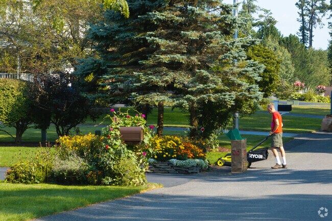 Many residents take great pride in their lawns and plants in The Dunes.