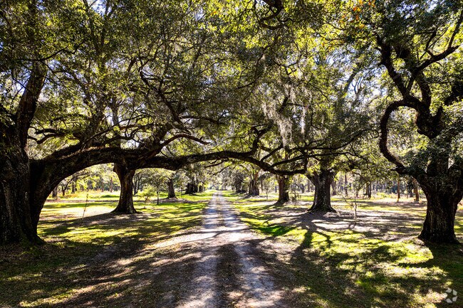 Deep into Cordesville are private ranches with draping treescapes.