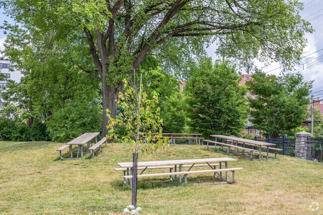Picnic area at Frederick Douglass Elementary School in Cincinnati