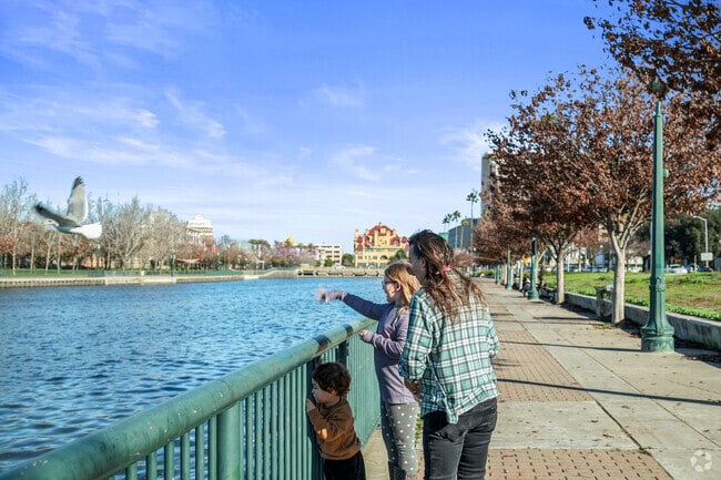 Stockton Marina is a place for feeding seagulls by the water in Stockton.