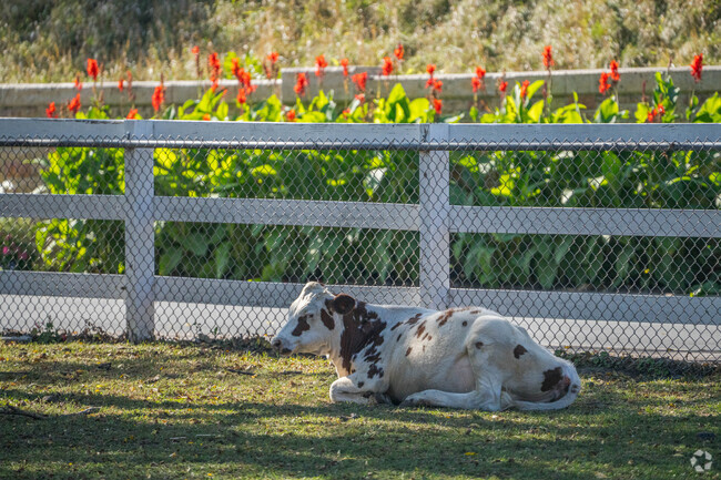 Sibley Park has cows at the farm.