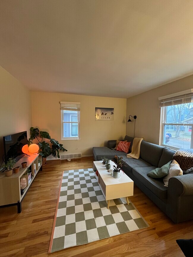 222 Buena Vista Ave unit Lower, Ann Arbor, MI 48103 - photo 2