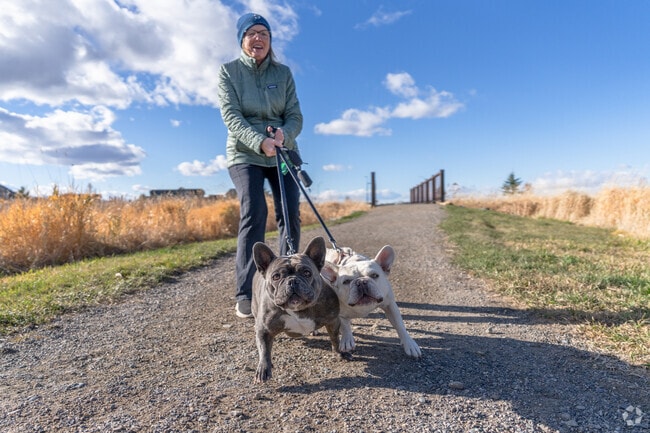 Take your best friends for a walk on the trails of Norton East Park.