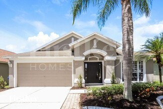 13130 Early Run Ln, Riverview, FL 33578