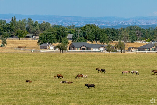 Some properties in Cottonwood span nearly 12 acres with horses and cows to graze the fields.