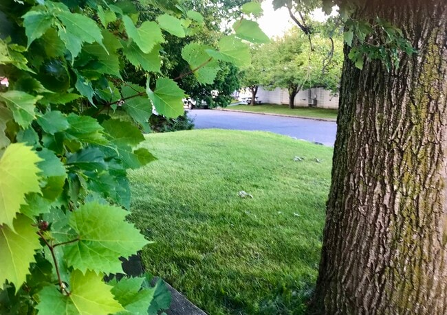 202 Division St S, Walker, MN 56484 - photo 7