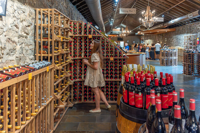 In New Windsor, NY, dreams of a perfect glass of wine come to life amidst the rustic charm of a winery cellar.