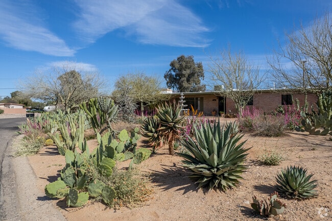 With some EL GHEKO homes set back from the road, there is plenty of room for gardening.