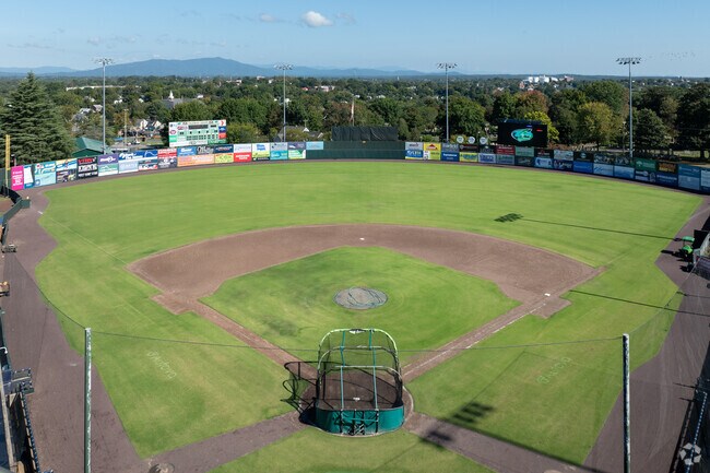 The Lynchburg Hill Cats play in West Ends Bank of the James stadium.