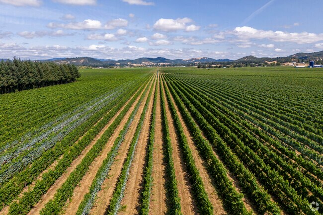 In Melrose, the journey to neighbors is as long as the view is beautiful.