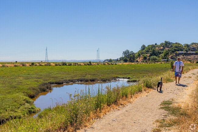 Santa Venetia Marsh Preserve is a 33-acre park in Marin County, California.