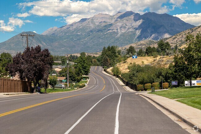 A blue Y stands out in a yellow field with mountains in the background.