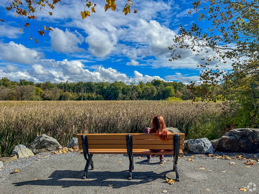 SusquehannaTownshipDauphin_525122_FX_081825_V1