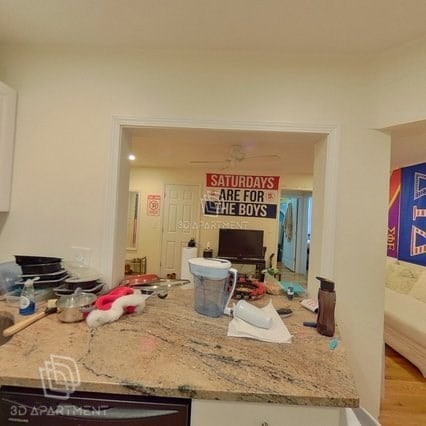 62 Egmont St unit 3, Brookline, MA 02446 - photo 6
