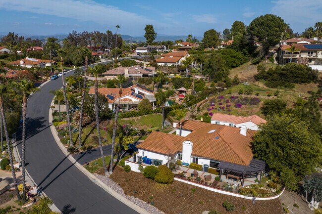 Homes are situated high on the hillside with perfectly maintained roads in Lake Hodges.