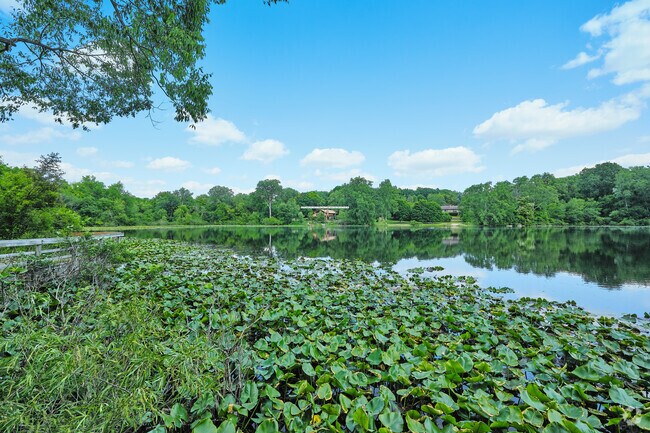 Close to Liberty Glen is Dolph Nature Area with one of Ann Arbor’s two naturally formed lakes.