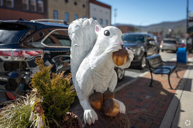 The annual White Squirrel Weekend is a multi-day festival named after Brevard's native tree-dwellers.