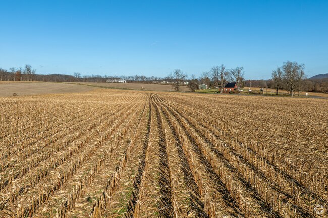 There are many local crops grown in Mifflin.