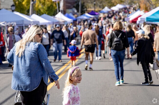 Vendors line several blocks of street at the Centereach Fall Festival.
