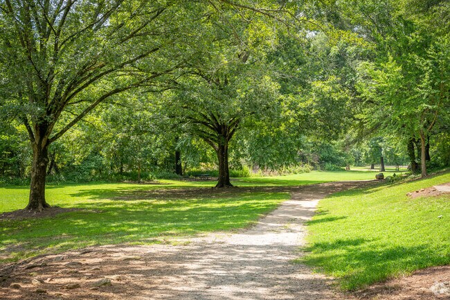 Ben Burton Park has long wooded hiking trails along the river.