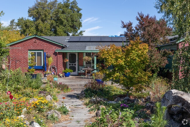 Many of the homes in Larkey Park have replaced their lawns with drought tolerant plants.