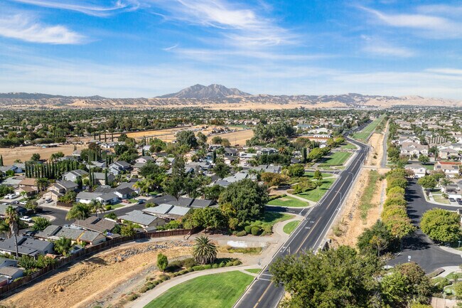 Take in stunning views of Mount Diablo as you explore the roadways of this charming area.