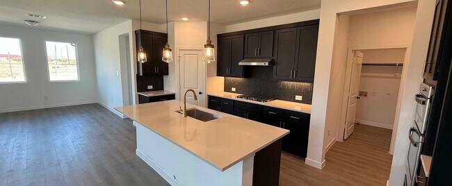 4302 Crossvine Ln, Melissa, TX 75454 - photo 4