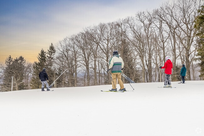 Enjoy the slopes at Laurel Mountain State Park.