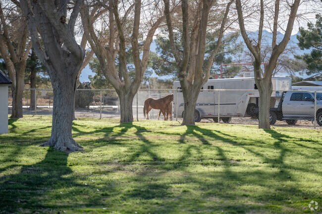 Pahrump is home to several rodeo events during fall.