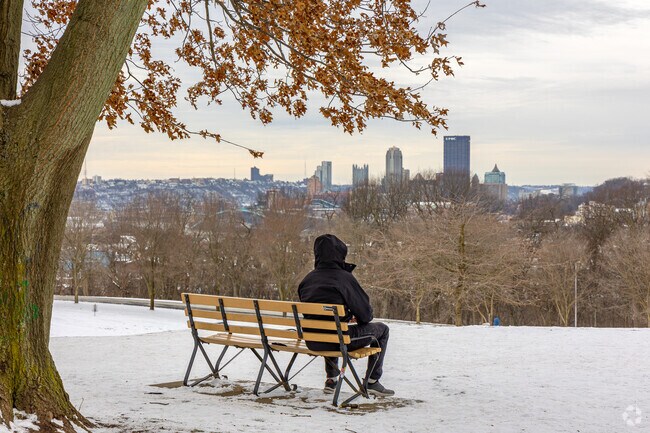 A resident relaxes at a bench near Squirrel Hill North.
