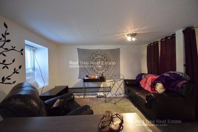 684 Parker St unit 1, Roxbury Crossing, MA 02120 - photo 7
