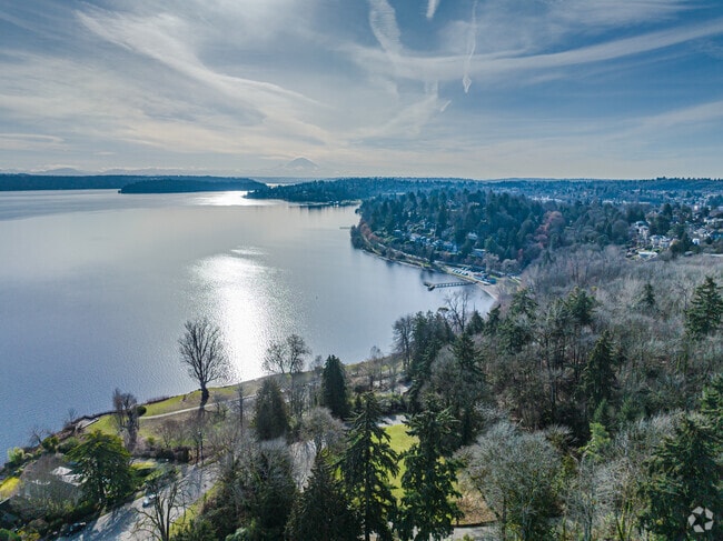 Shoreline of Mount Baker neighborhood