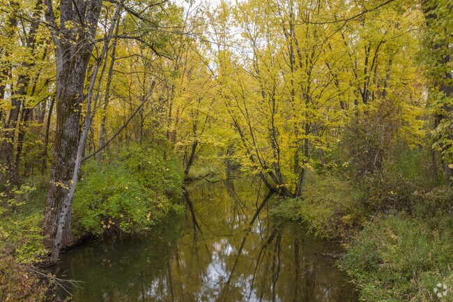 Several beautiful and slow-moving creeks criss-cross across Tyrone Township.