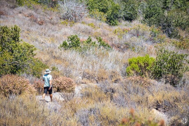 Residents can enjoy a hike in nature at Calavera Nature Preserve in Tamarack Point.