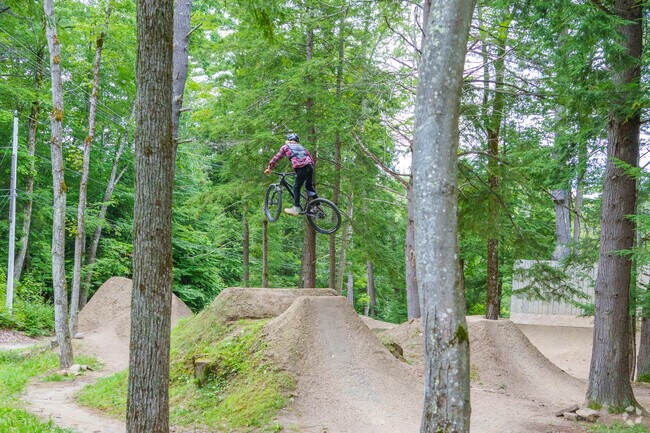 Catch big air on the dirt jumps at the Highland Mountain Bike Park in Northfield.