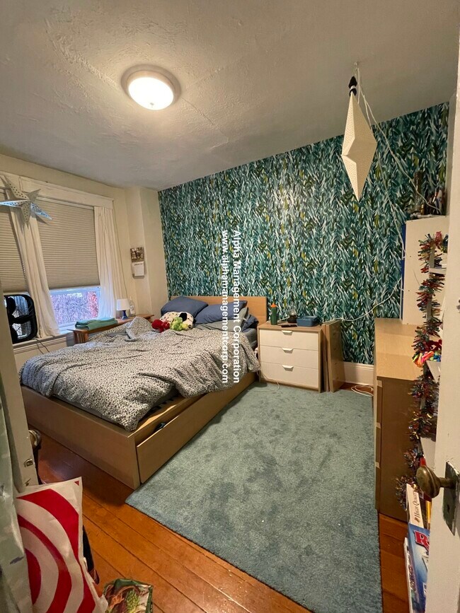 208 Winthrop Rd unit 38, Brookline, MA 02445 - photo 4