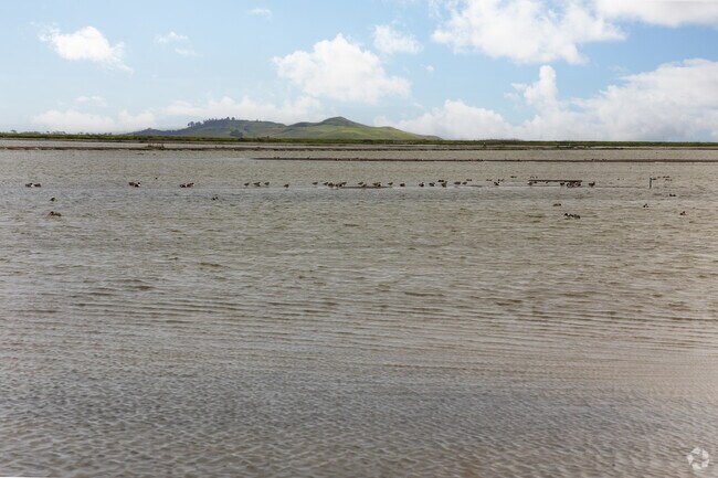 Stunning natural reserve views captivate visitors at Eden Landing in Glen Eden.