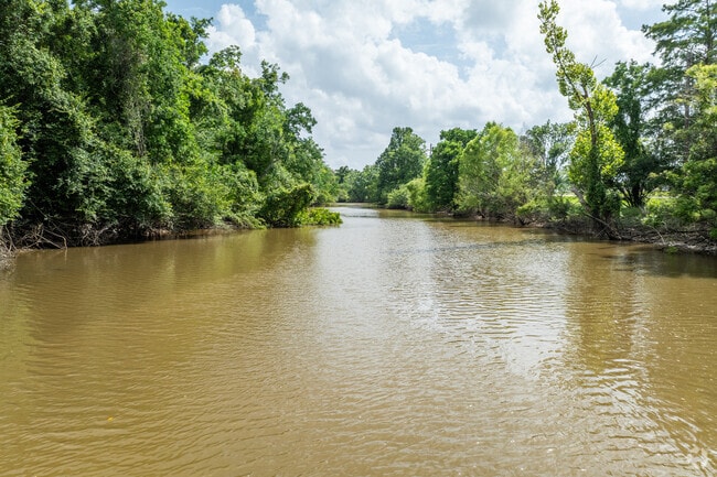 Nestled near the Honey Island Swamp, Pearl River, Louisiana, is a quiet town that blends southern charm with rich natural beauty.