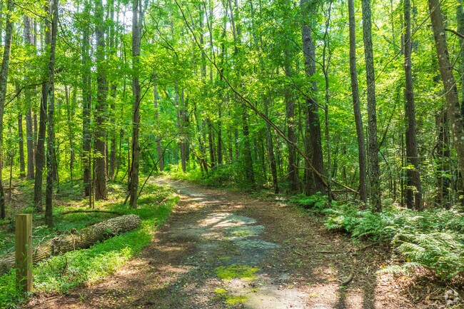 Immerse yourself in nature and explore the trails inside the Herbert Green Nature Preserve in Wilson Mill Meadows.