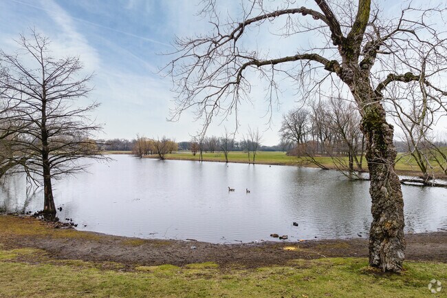Schiller Pond is a popular spot for locals to enjoy some fishing close to Schorsch Forest View.
