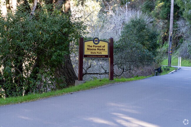 Forest of Nisene Marks State Park, once a logging site, is now a 10,000-acre park and redwood sanctuary.