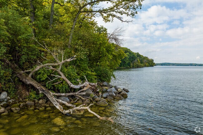 Raymer's Cove is a great spot for launching your canoe.